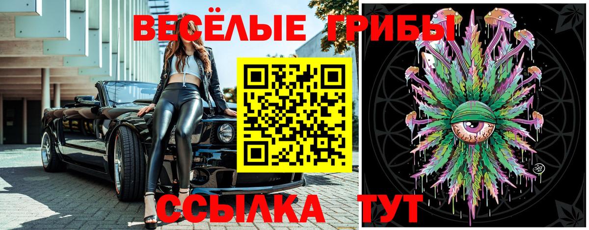 Галлюциногенные грибы GOLDEN TEACHER  Вход с VPN  Касимов 