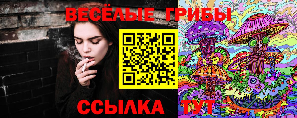 Псилоцибиновые грибы Magic Shrooms Касимов